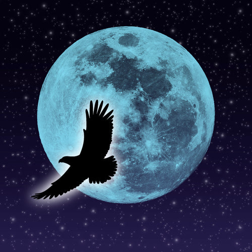 Night Flight - Fine Art Print