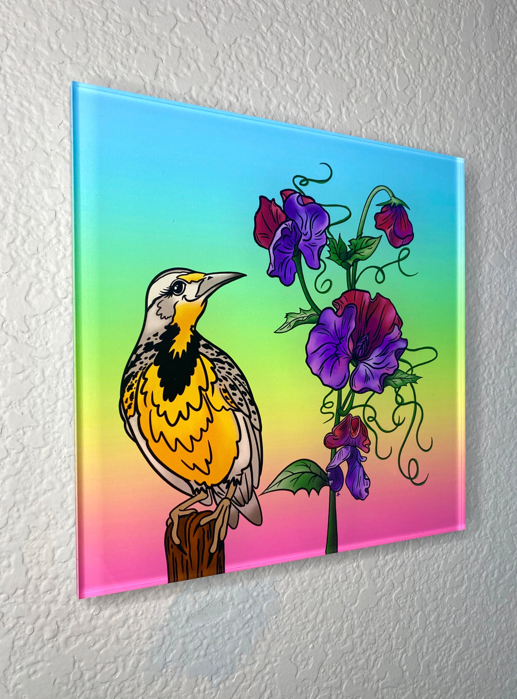 The Meadowlark - Floating Acrylic Glass Print